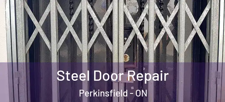  Steel Door Repair Perkinsfield - ON