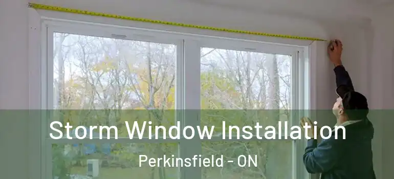  Storm Window Installation Perkinsfield - ON