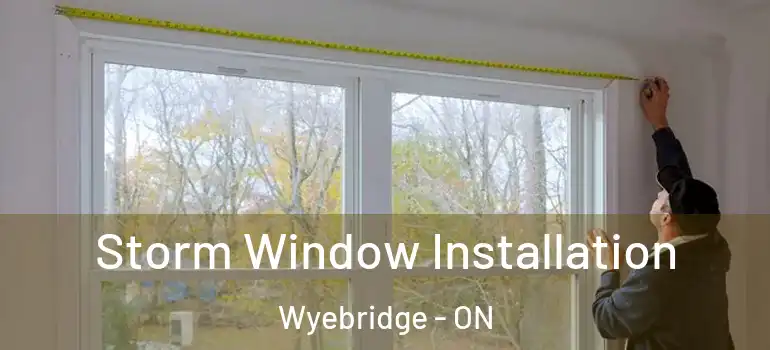  Storm Window Installation Wyebridge - ON