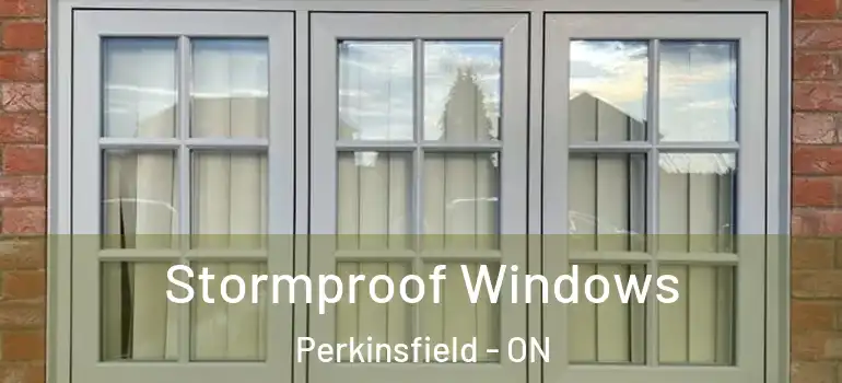  Stormproof Windows Perkinsfield - ON