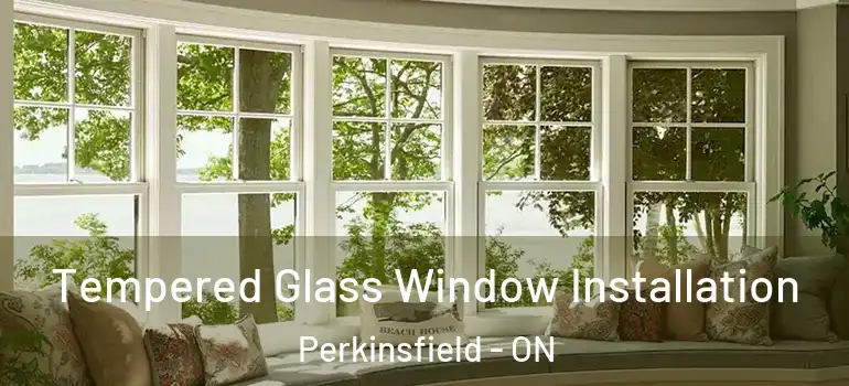  Tempered Glass Window Installation Perkinsfield - ON