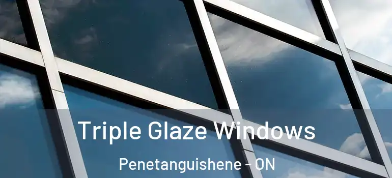  Triple Glaze Windows Penetanguishene - ON