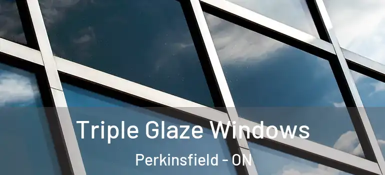  Triple Glaze Windows Perkinsfield - ON
