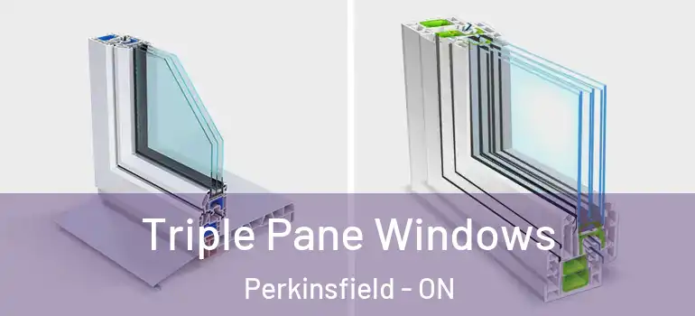  Triple Pane Windows Perkinsfield - ON