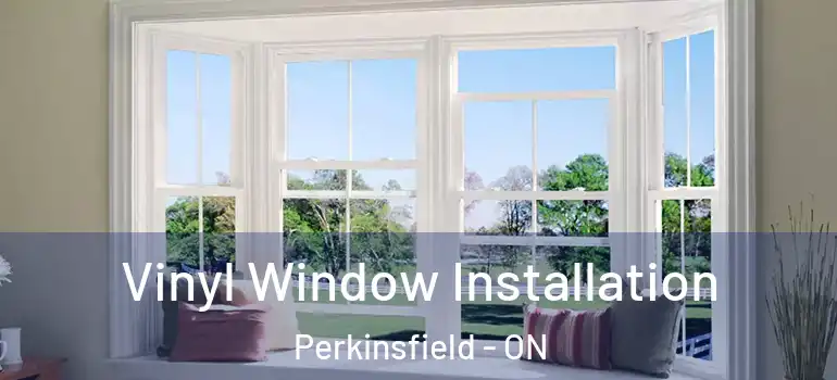  Vinyl Window Installation Perkinsfield - ON