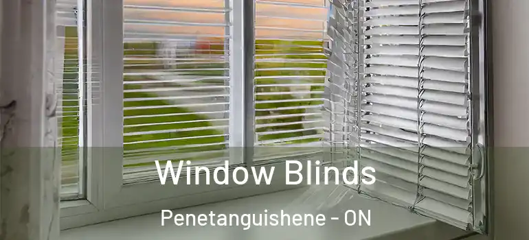  Window Blinds Penetanguishene - ON
