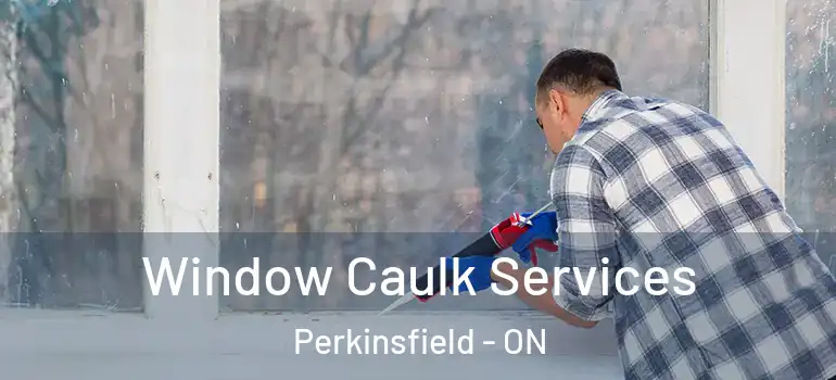  Window Caulk Services Perkinsfield - ON