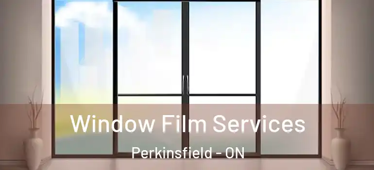  Window Film Services Perkinsfield - ON