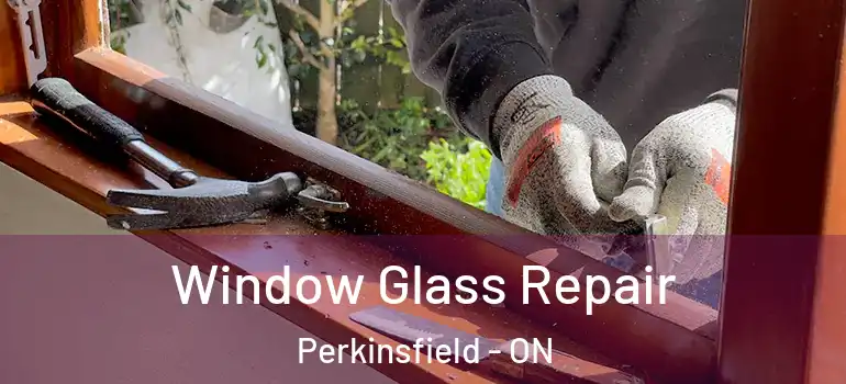  Window Glass Repair Perkinsfield - ON