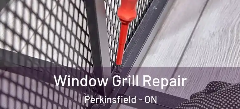  Window Grill Repair Perkinsfield - ON