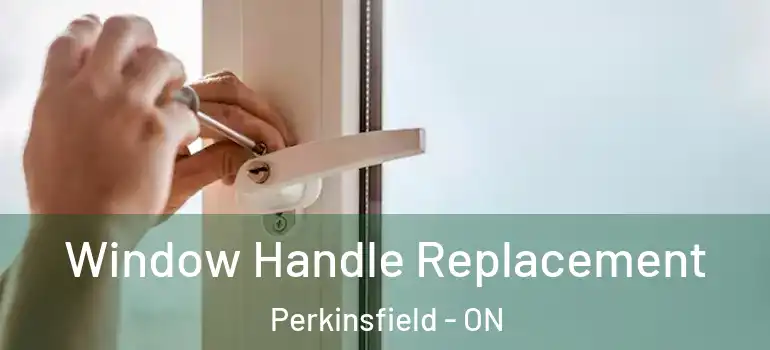  Window Handle Replacement Perkinsfield - ON