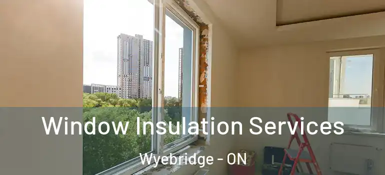  Window Insulation Services Wyebridge - ON