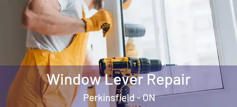  Window Lever Repair Perkinsfield - ON