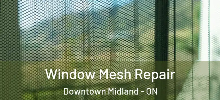  Window Mesh Repair Downtown Midland - ON