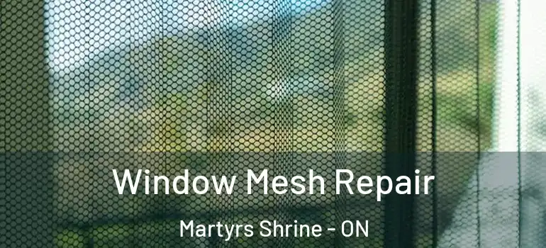  Window Mesh Repair Martyrs Shrine - ON