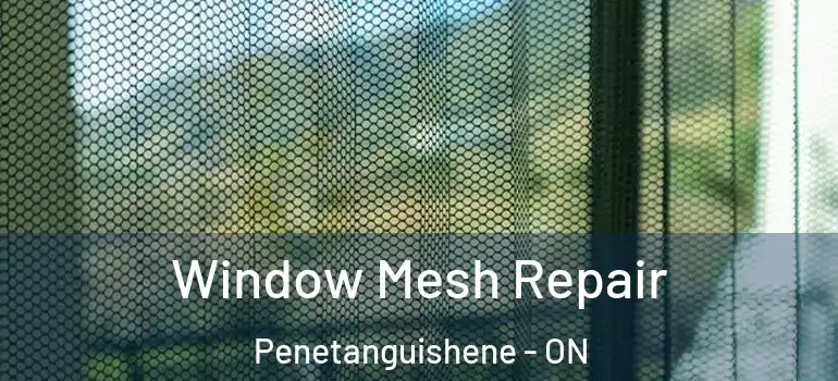  Window Mesh Repair Penetanguishene - ON