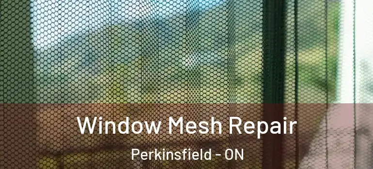  Window Mesh Repair Perkinsfield - ON