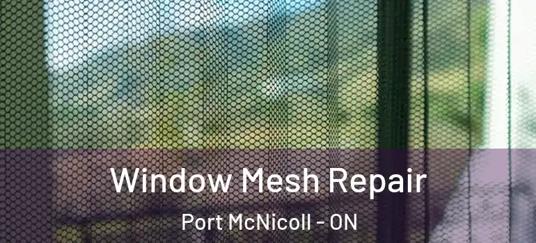  Window Mesh Repair Port McNicoll - ON