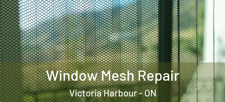  Window Mesh Repair Victoria Harbour - ON