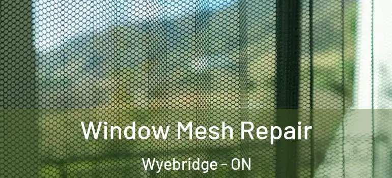  Window Mesh Repair Wyebridge - ON