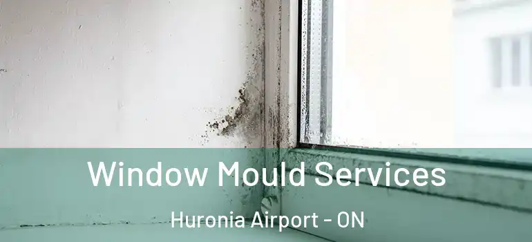  Window Mould Services Huronia Airport - ON