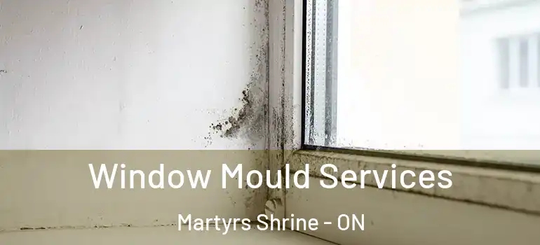  Window Mould Services Martyrs Shrine - ON