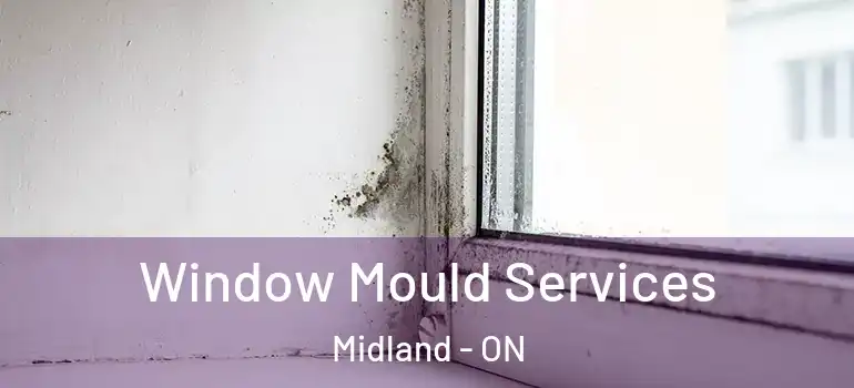  Window Mould Services Midland - ON