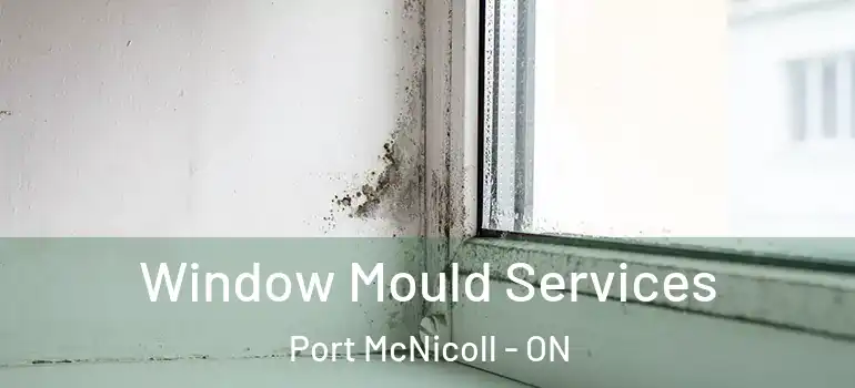  Window Mould Services Port McNicoll - ON