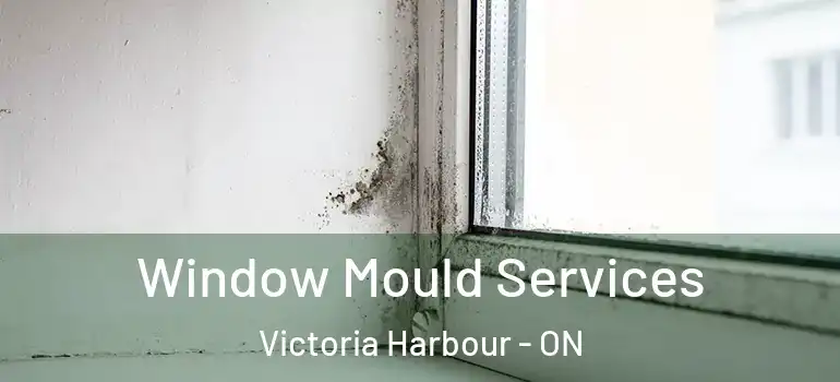  Window Mould Services Victoria Harbour - ON