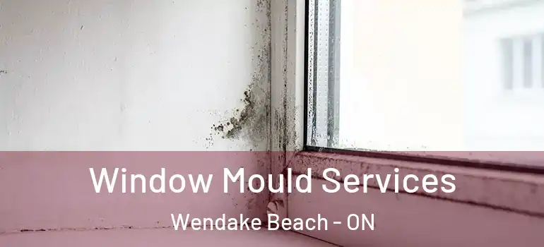  Window Mould Services Wendake Beach - ON