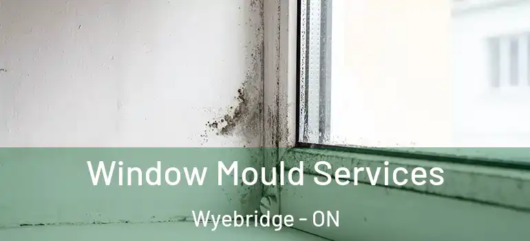  Window Mould Services Wyebridge - ON
