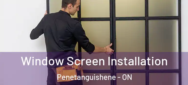  Window Screen Installation Penetanguishene - ON