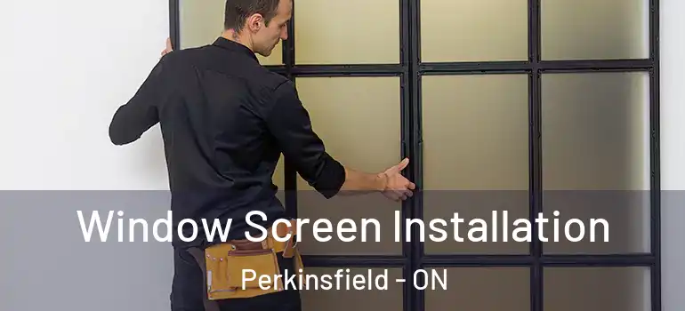  Window Screen Installation Perkinsfield - ON