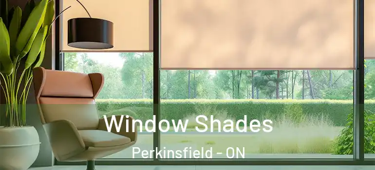  Window Shades Perkinsfield - ON