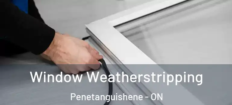  Window Weatherstripping Penetanguishene - ON