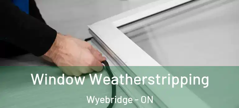  Window Weatherstripping Wyebridge - ON