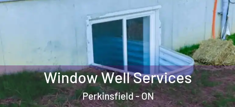  Window Well Services Perkinsfield - ON