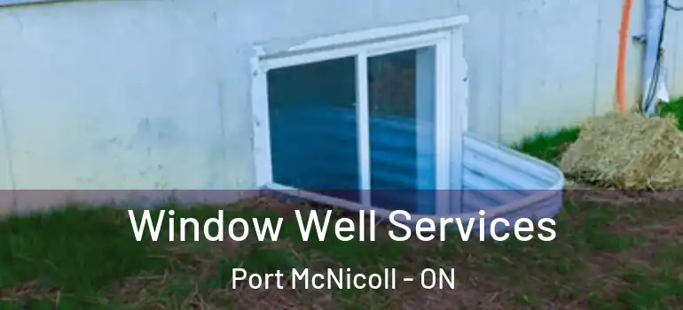  Window Well Services Port McNicoll - ON