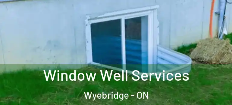  Window Well Services Wyebridge - ON