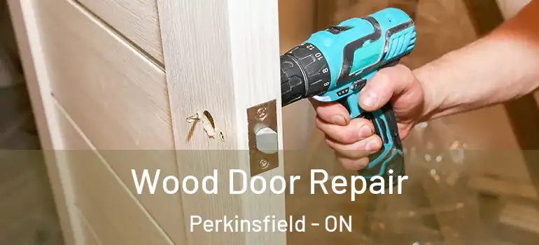  Wood Door Repair Perkinsfield - ON